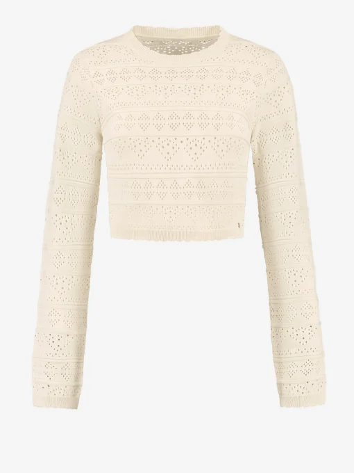 Ajour knit Cropped Top