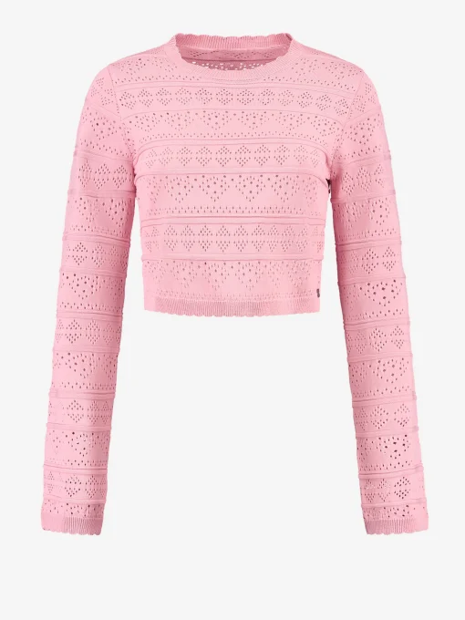 Ajour knit Cropped Top