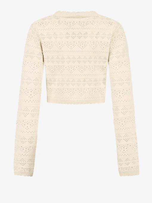 Ajour knit Cropped Top