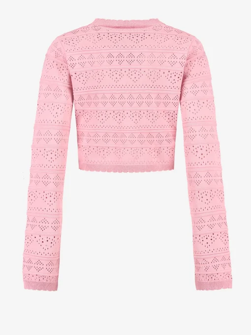 Ajour knit Cropped Top