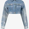 Cropped Metallic jacket