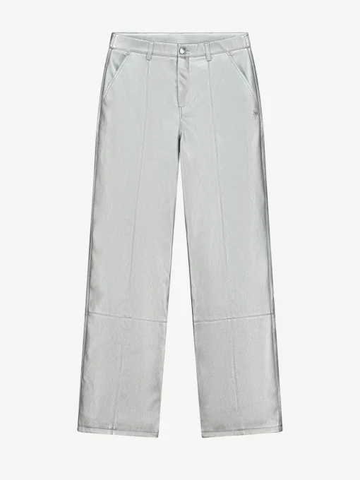 Metallic pants
