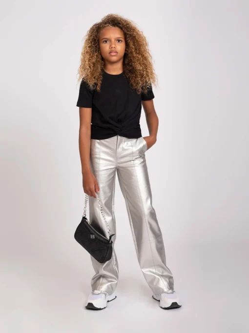 Metallic pants