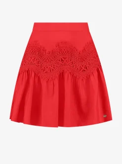 Rok met embroidery