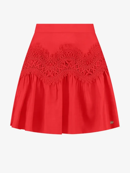 Rok met embroidery