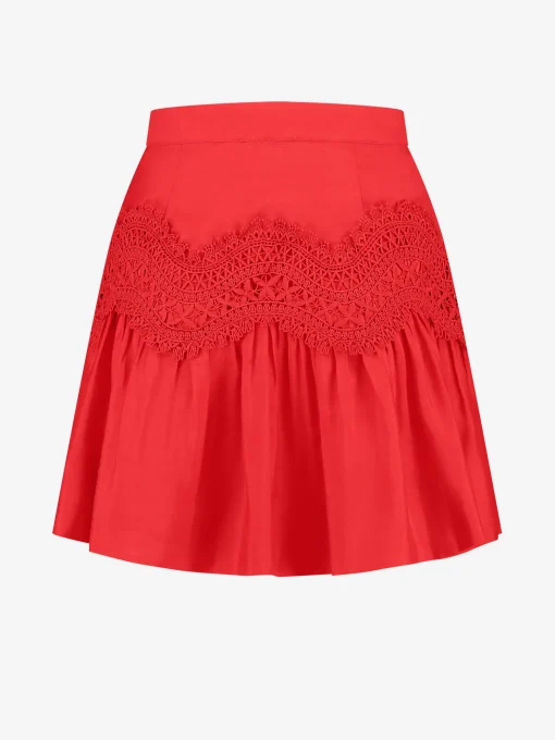 Rok met embroidery